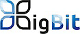 BigBit