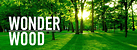 Логотип Wonder Wood