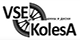 Логотип Vse Kolesa