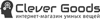 Логотип Clever Goods