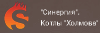 Логотип Синергия